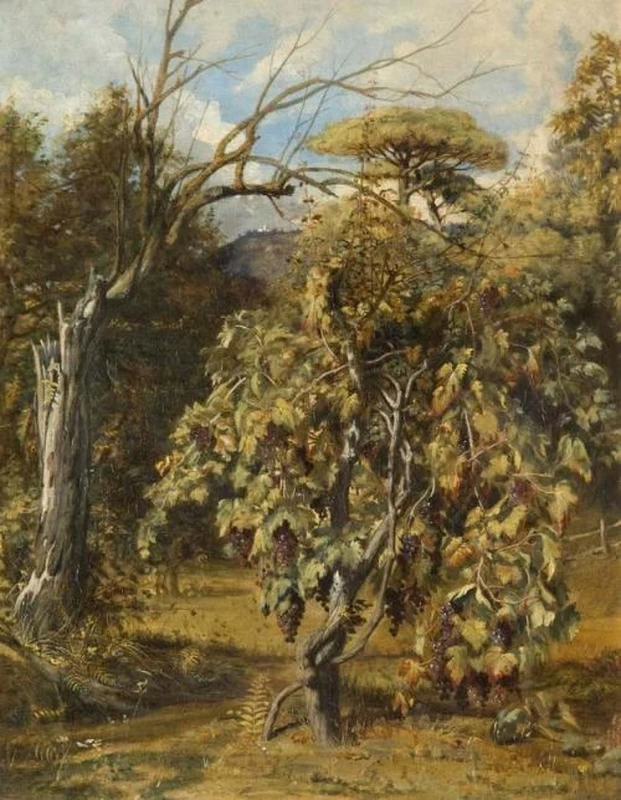 Un vigneto, Gensano, Roma - Aberdeen Art Gallery & Museums